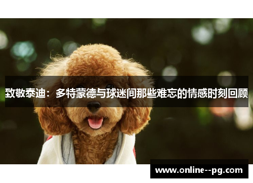 致敬泰迪：多特蒙德与球迷间那些难忘的情感时刻回顾