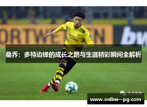桑乔：多特边锋的成长之路与生涯精彩瞬间全解析